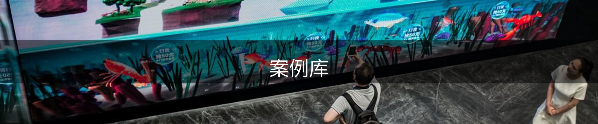 案例库